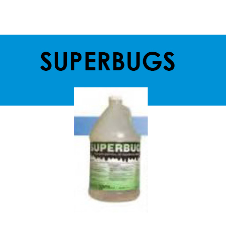 superbugs